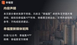 深圳买房李先生爆料视频,揭秘购房内幕与真实成本