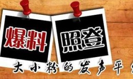 重庆爆料娱乐感悟,重庆爆料娱乐感悟录