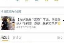 何小姐烘焙爆料视频大全,视频大全揭秘烘焙艺术魅力