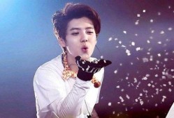 明星爆料杨紫鹿晗视频,幕后故事引热议