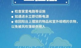 暴雨热点爆料新闻视频下载,热点爆料视频揭示城市抗洪瞬间