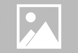 s14赛季模型爆料最新,揭秘全新模型爆料，战力升级一触即发！