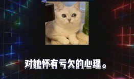 综艺娱乐八卦吃瓜,揭秘明星幕后故事，吃瓜群众狂欢时刻