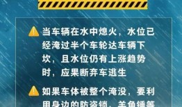暴雨热点爆料新闻视频下载,热点爆料视频揭示城市抗洪瞬间