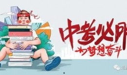 武邑爆料最新新闻消息,聚焦城市动态与民生焦点