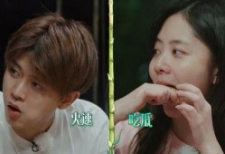 娱乐吃瓜爆料直播真假视频,娱乐吃瓜爆料，真假视频背后的真相大起底