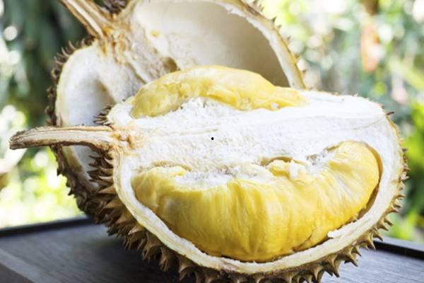 娱乐吃瓜酱200块榴莲,200元榴莲背后的娱乐圈吃瓜大揭秘